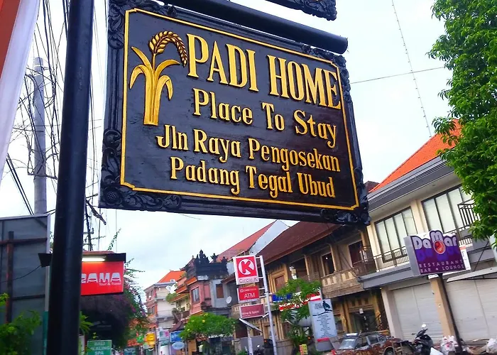 Padi 3*